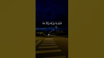 سورة السجدة | القارئ عـبـد الـرحمـن مسـعد #عبدالرحمن_مسعد #قرآن #quran #foryou #استغفر_الله
