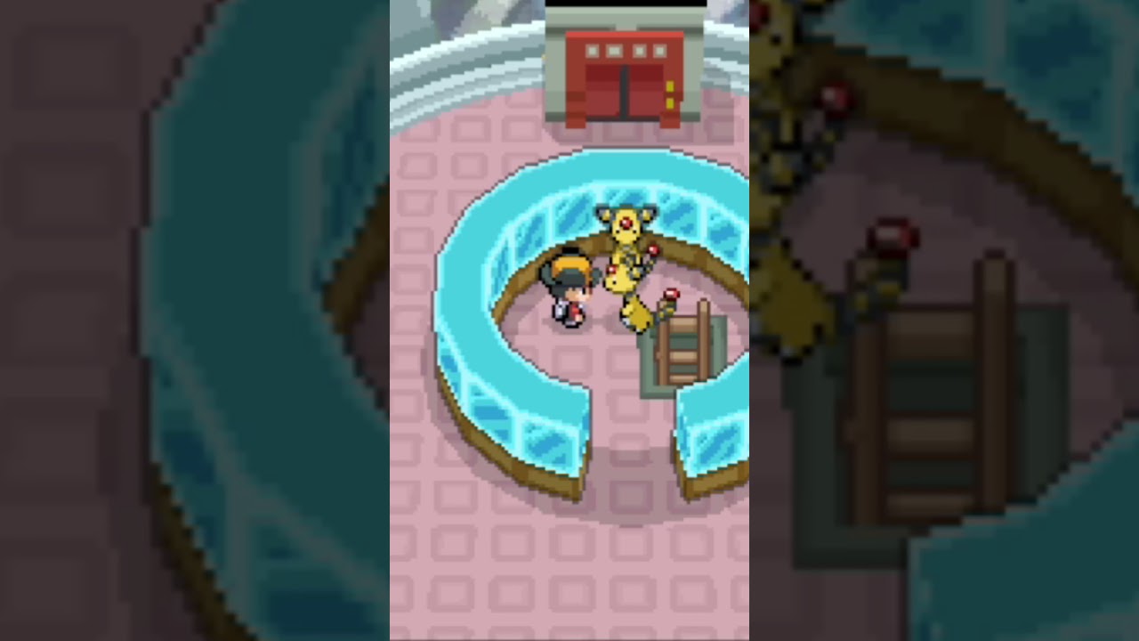 Following Pokemon interactions are AMAZING