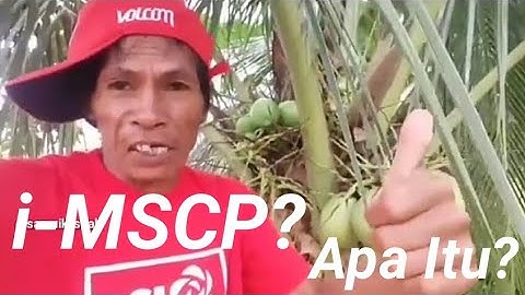 INSTALASI i-MSCP DEBIAN 9