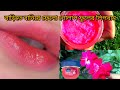 একটি মাত্র গোলাপ ফুল দিয়ে লিপবাম বানালাম..🌹😍গোলাপের পাপড়ি দিয়ে লিভ বাম কিভাবে বানাবেন বাড়িতে...😮