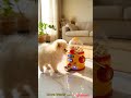 Teacup Puppy Hits the Treat Machine JACKPOT! 🐶🍖🎰