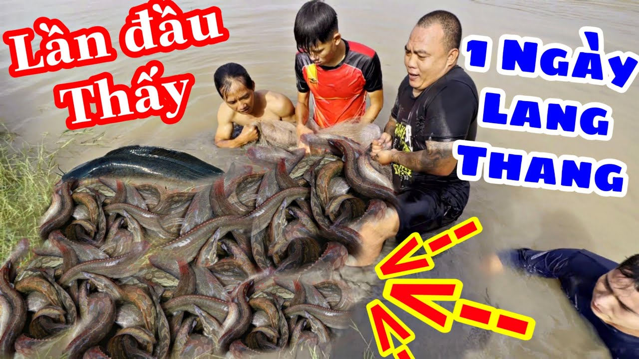 TXVL - một ngày lang thang cùng team Thánh Xàm trãi nghiệm kéo cá nướng ăn tại cánh đồng quê