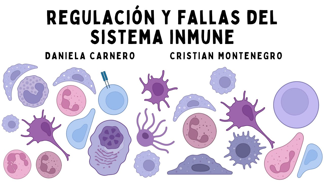 Regulación y fallas del sistema inmune - YouTube
