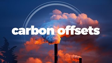 Can carbon offsets really save us from climate change?
