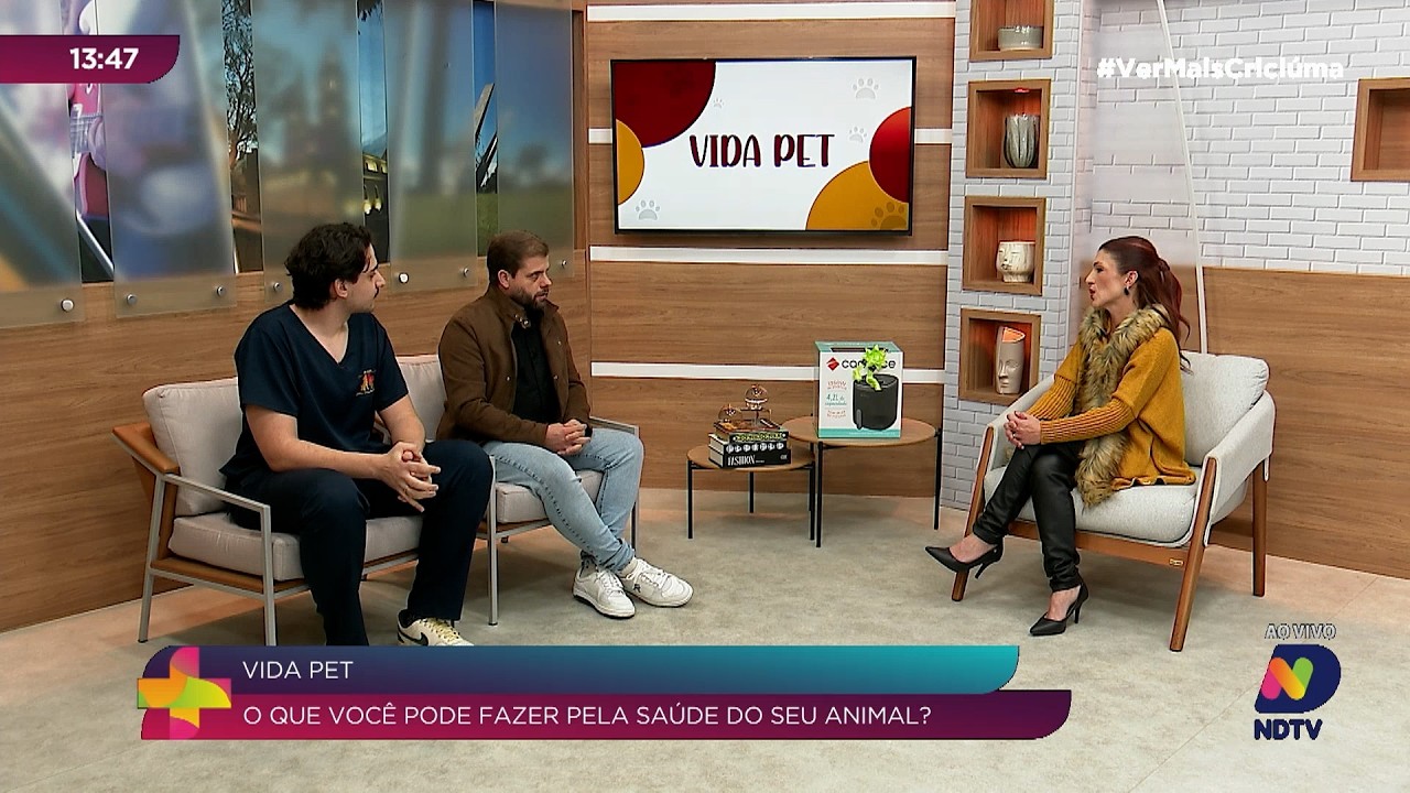 Anestesia veterinária: como garantir segurança aos pets