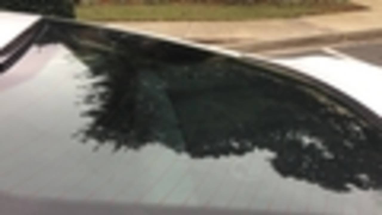 Snow falling at Point Meadows apartments near St. Johns Town Center