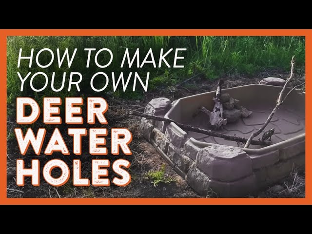 Diy Deer Water Holes Youtube