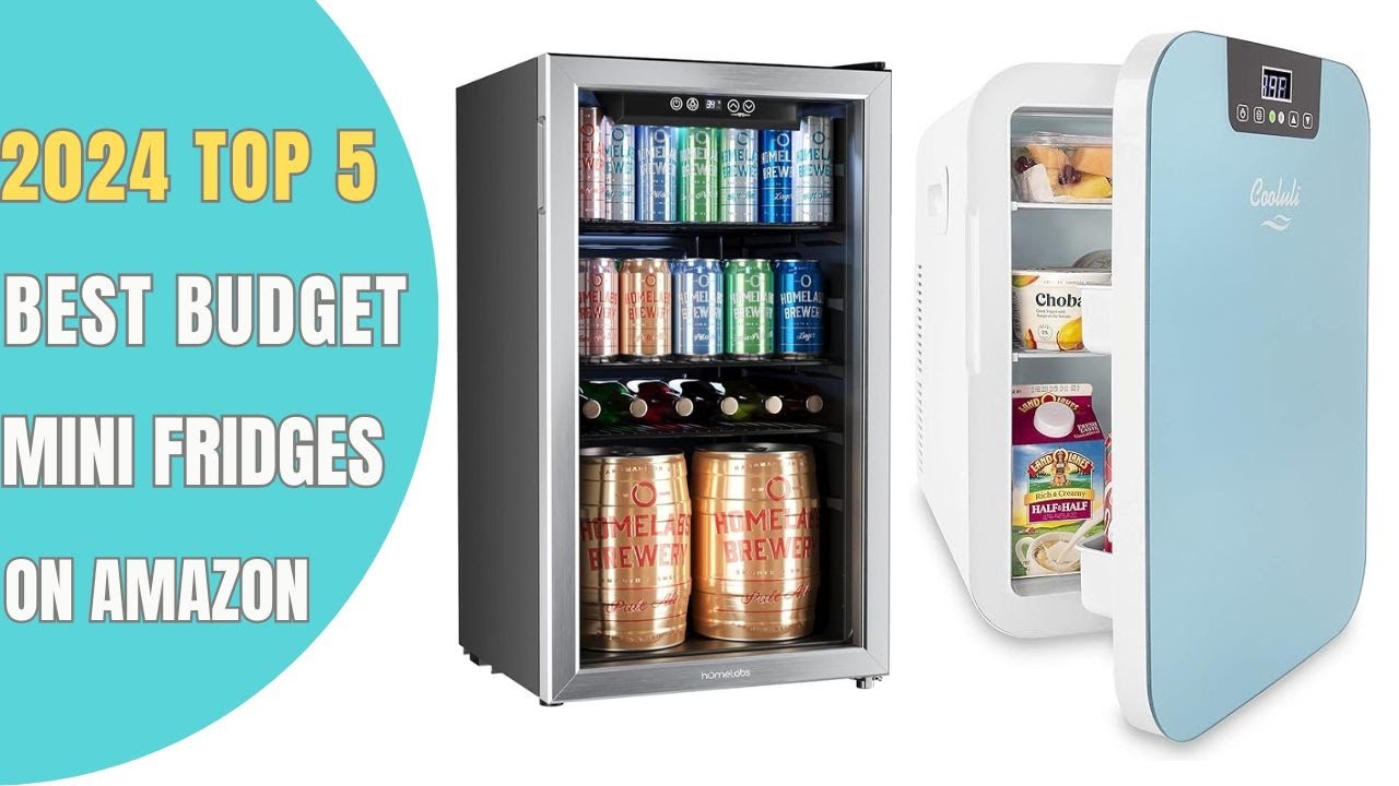 ✓ Top 5: Best Mini Fridges of 2024 to Keep Things Chill in Any Space 