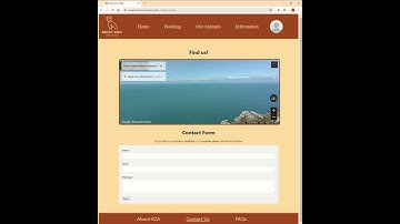 Google Maps API Showcase