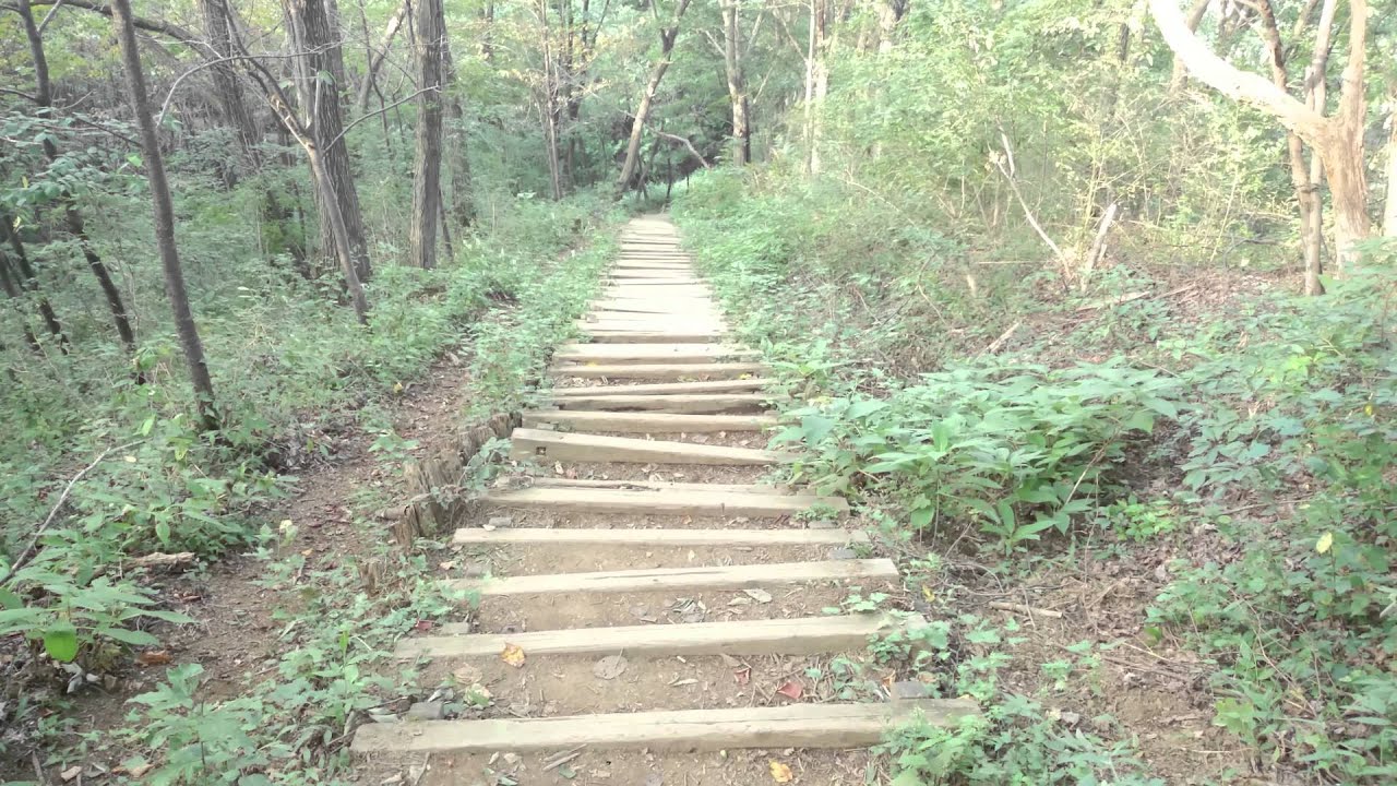 フリー素材 山道の階段 通常視点ver 4k Ultrahd Youtube フリー素材 山道の階段 通常視点ver 4k Ultrahd Youtube