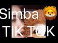 Lion King Simba рџ Ѓ TIK TOK HD Celestecayun Lion King Simba рџ Ѓ TIK TOK HD Celestecayun