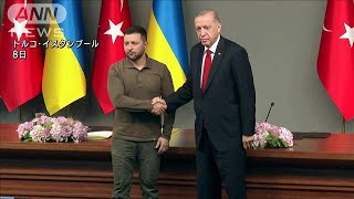 トルコ大統領　ウクライナのNATO加盟を支持「加盟に値する」(2023年7月8日)