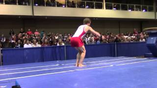 Allan Bower - Vault - 2014 Winter Cup Challenge Finals