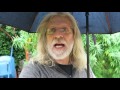 Should I Harvest In The Rain? (Harvesting Cannabis Part 6)