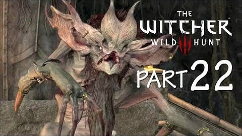 The Witcher 3 Wild Hunt Walkthrough Part 22 Pyres of Novigrad (PS4 Gameplay)