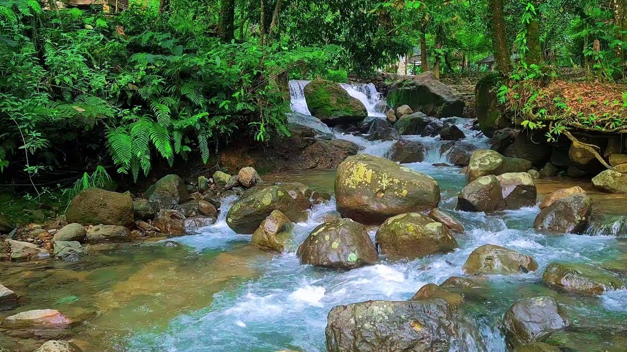 Flowing Water Meditation | River Sounds for Peaceful Sleep and Mind Reset