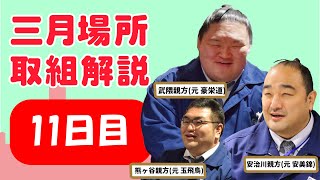 大相撲三月場所 親方生解説(11日目)