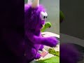 Papa Ko Keshe Bulayenge Funny Parrot Nonstoptalkingparrot Greenparrot Talkingparrot Pe 