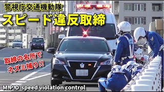 交通機動隊 都内の超有名スポットでネズミ捕り 全編!! M.P.D Traffic Unit Speed ​​Violation Control