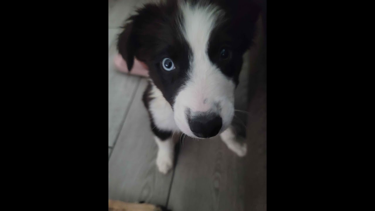 NIGHTFALLCRAFT - THE CASKET OF REVERIES!!! WITH MY DUO (MINECRAFT MOD)