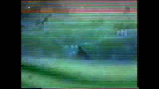 Bbc News Beast Of Bodmin Reports - Broadcast 1995 Bbc1 Uk