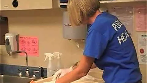 Changing Diapers in Child Care