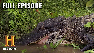 Swamp People: GATOR INVASION THREATENS ALL (S10, E1) | Full Episode | History