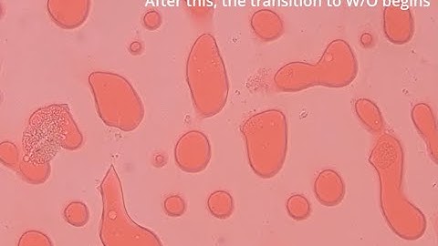 Phase Inversion Video