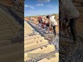 鉄の棒で鉄の道を動かす:数人の力で軌条をコンクリートの上へ