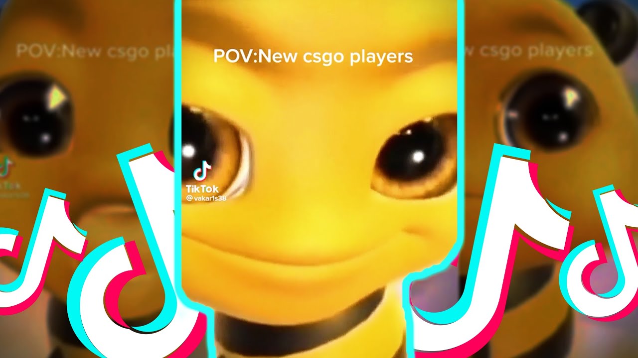 Bee Eyebrow Meme Funny TikTok Meme TikTok Compilation YouTube bee-eyebrow-meme-funny-tiktok-meme-tiktok-compilation-youtube