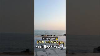 울산 간절곶 풀빌라 오션블리스 펜션