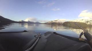 Kodiak Raspberry Island Remote Lodge--Duck Hunting 2013.mov