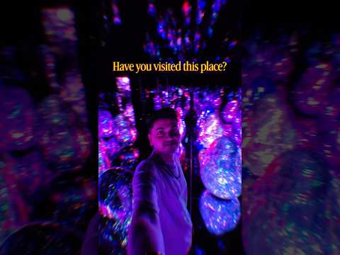 Japan TeamLab Experience | Biovortex Kyoto