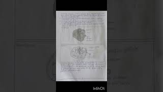 class12 bio practical4 Aim:To study the discrete stages of gametogenesis in mammalian testis & ovary