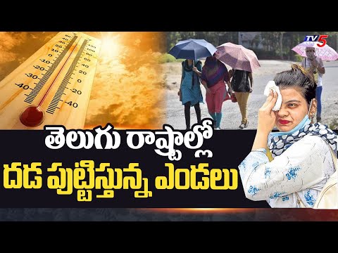 Temperatures On Rise In Telugu States : మండే సూర్యుడు | Summer Heat | Tv5 News - TV5NEWS