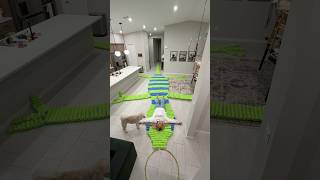 I think it wants to go swimming 🦎☀️ #diy #craft giant 40 ft beaded lizard with pool noodles