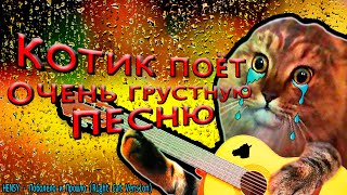 HENSY - Поболело и Прошло 😻(Right Cat Version)😹Очень Грустный Кошачий Cover + Субтитры