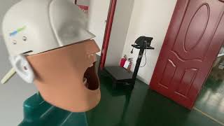 Dentistry Phantom Head During,Dental Manikin Model Jmp,Dental Phantom Head Despite Definition,