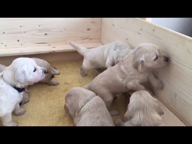 3d611f7a 7801 408f 9f4a 2a6a0497e3e5