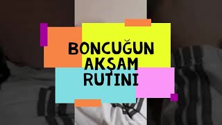 Iyi Geceler Boncuk Zeyti̇nyemezoğullarindan- Komik Kedi Videosu