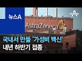 SK가 국내서 만들 ‘가성비 코로나 백신’…내년 하반기 접종 | 뉴스A