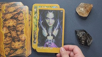 The Faeries Oracle - Full Flip Through and Mini Review