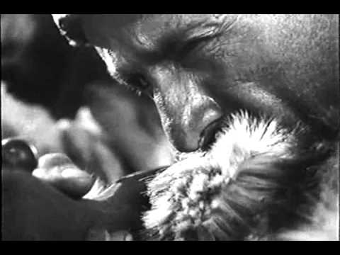 ჯიმ შვანთე (მარილი სვანეთს)  1