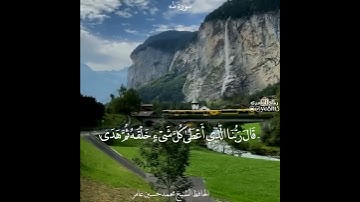 قَالَ فَمَن رَّبُّكُمَا يَا مُوسَىٰ /اجمل تلاوة محمد حسين عامر حالات وتساب قران كريم