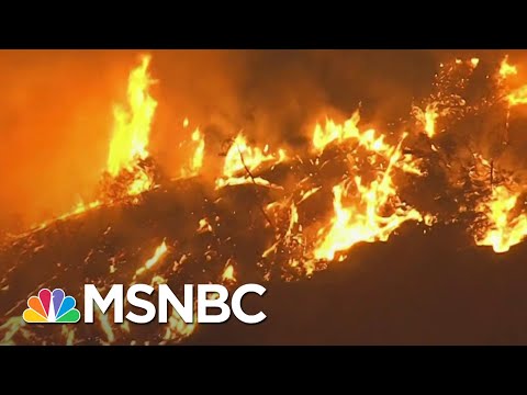 Officials: Gender Reveal Pyrotechnic Sparked California Wildfire | MSNBC