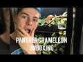 Panther Chameleon Unboxing and Setup