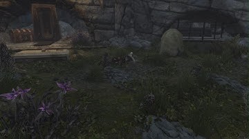 Skyrim Skeleton resurrection mod (PS5)