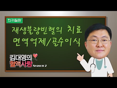 [김대영의 혈액사랑] 재생불량빈혈의 치료-면역억제 및 골수이식