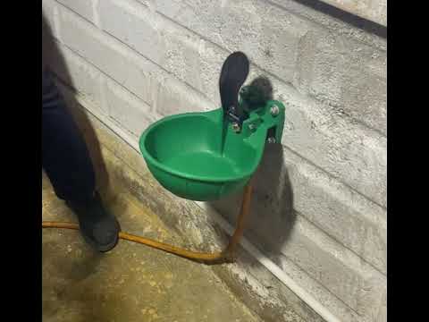 Поилка автоматическая чашечная для лошадей и КРС Турция, видео 2