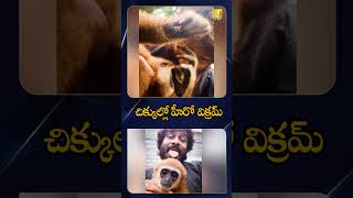హీరో విక్రమ్ కు షాక్ #herovikram #chiyaanvikram #gibbonmonkey #wildlife #viral #shocking #trending